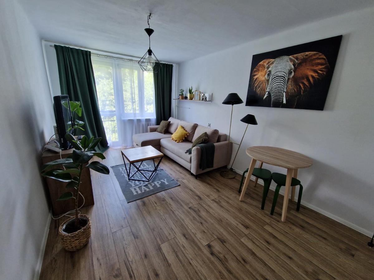 Sienkiewicza Apartament Multi House Rzeszów Exterior foto